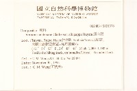 過山龍藏品圖，第2張