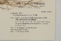 下田菊藏品圖，第2張