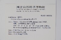 針刺草藏品圖，第2張