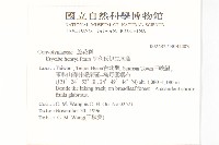 亨利氏伊立基藤藏品圖，第2張