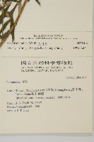 中南蒿藏品圖，第2張