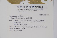 蘭嶼山柑藏品圖，第2張