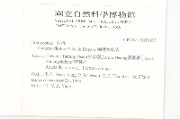 蘭嶼木耳菜藏品圖，第2張