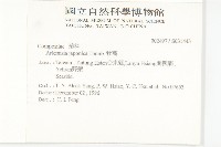 牡蒿藏品圖，第2張