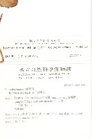 海牽牛藏品圖，第2張