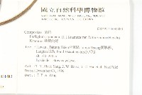 山菊藏品圖，第2張
