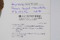 爬森藤藏品圖，第2張