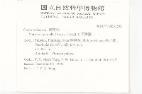 菜欒藤藏品圖，第2張