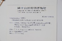 輪葉沙參藏品圖，第2張