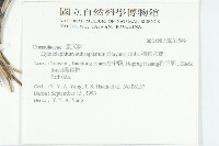 穗花八寶藏品圖，第2張