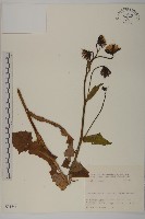 登錄號:S031646藏品圖，第1張