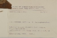 登錄號:S031646藏品圖，第2張