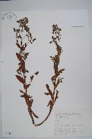 登錄號:S031648藏品圖，第1張