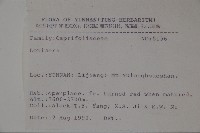 登錄號:S031649藏品圖，第2張