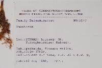 登錄號:S031672藏品圖，第2張