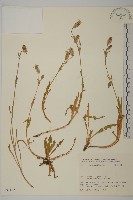 登錄號:S031677藏品圖，第1張