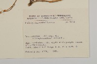 登錄號:S031677藏品圖，第2張