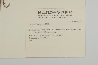 登錄號:S031727藏品圖，第2張