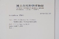 登錄號:S031747藏品圖，第2張