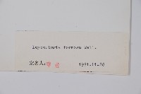 鬼吹簫藏品圖，第2張