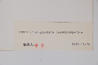 纖細風吹蕭藏品圖，第2張