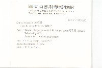 菟絲子藏品圖，第2張