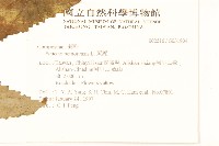 黃菀藏品圖，第2張