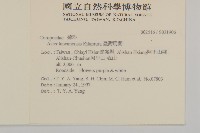 臺灣馬蘭藏品圖，第2張