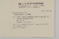 繁縷藏品圖，第2張