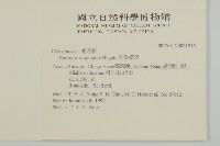 刺果衛矛藏品圖，第2張
