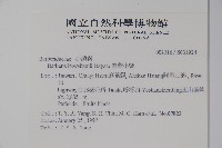 臺灣小蘗藏品圖，第2張