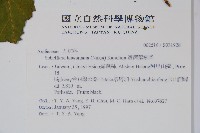 臺灣鵝掌柴藏品圖，第2張