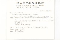 玉山佛甲草藏品圖，第2張