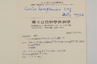 賽山藍藏品圖，第4張