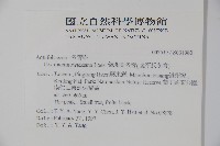 倒卵葉冬青、金平氏冬青藏品圖，第2張