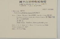 菱葉衛矛藏品圖，第2張