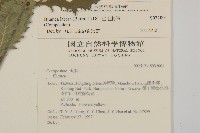 生毛將軍藏品圖，第2張