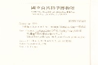 一枝黃花藏品圖，第2張