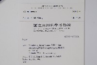 登錄號:S032101藏品圖，第2張