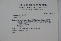 登錄號:S032130藏品圖，第2張