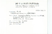 鵝鑾鼻燈籠草藏品圖，第2張