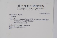 登錄號:S032135藏品圖，第2張