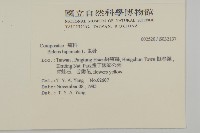 鬼針藏品圖，第2張