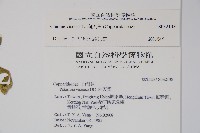 向天黃藏品圖，第2張