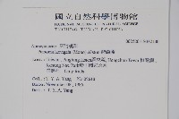 爬森藤藏品圖，第2張