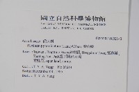 賽山藍藏品圖，第2張