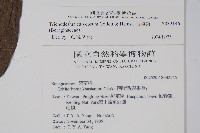 假酸漿藏品圖，第2張