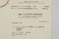 下田菊藏品圖，第2張