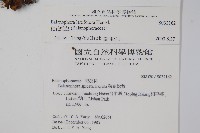 穗花蛇菰藏品圖，第2張