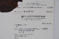 草野氏冬青藏品圖，第2張